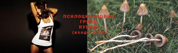 кокаин премиум Беломорск